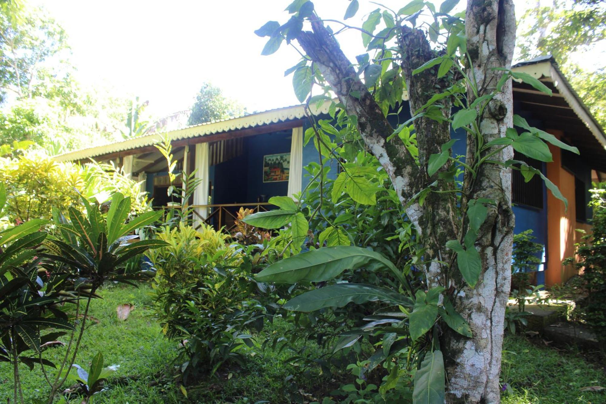 Hotel Casitas Mar Y Luz Puerto Viejo de Talamanca Extérieur photo